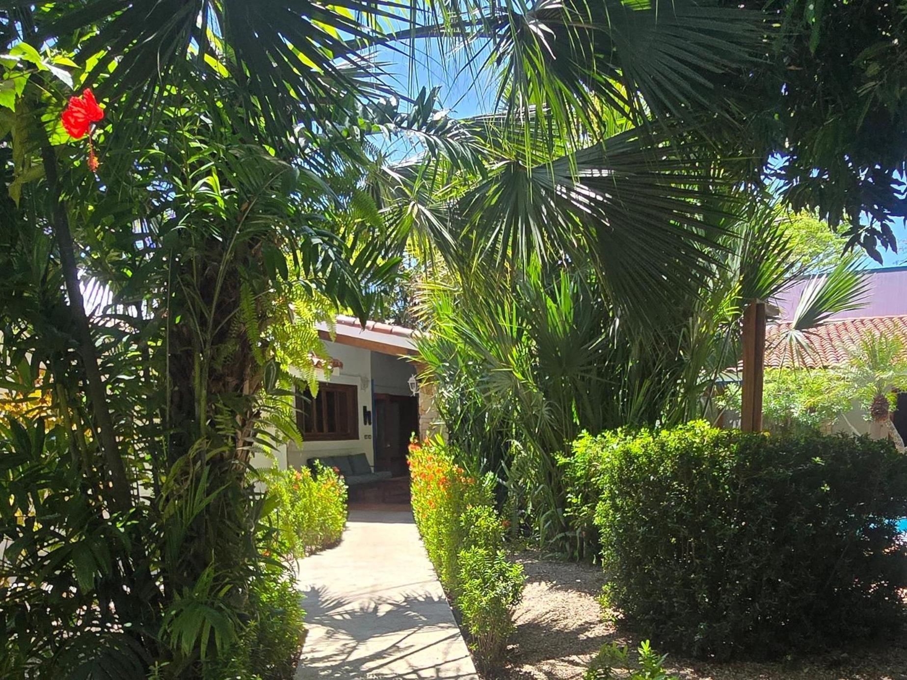 Villas Kalimba Sámara Dış mekan fotoğraf